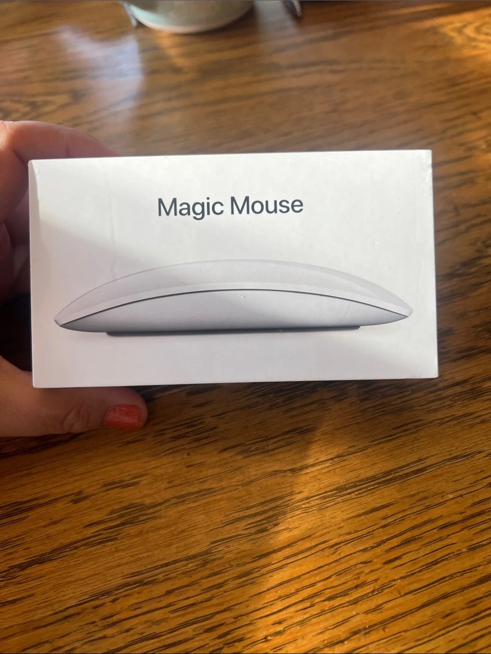 Apple Magic Mouse - White and Silver Wireless Multi‑Touch Mouse